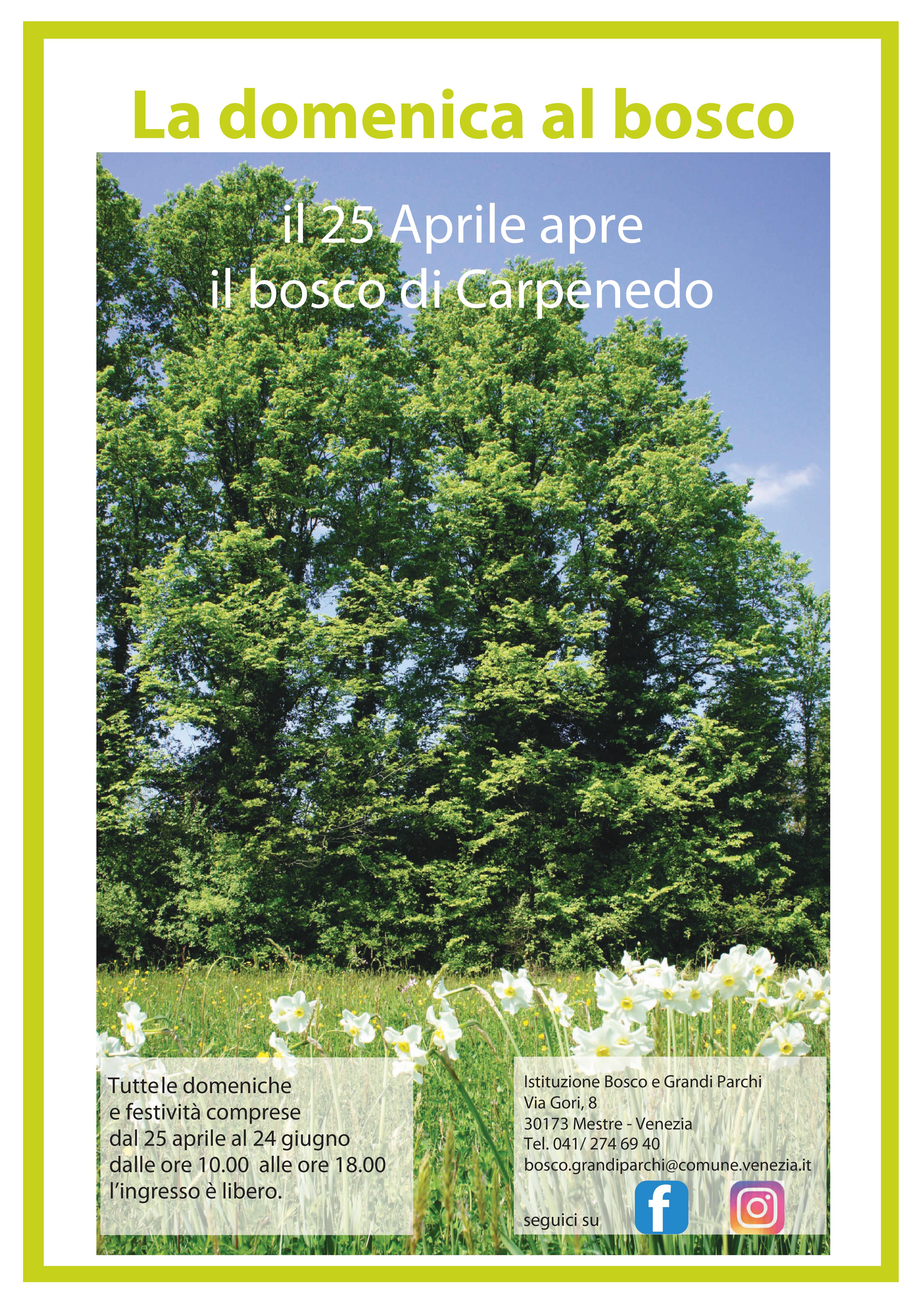 Locandina bosco carpenedo  - foto del bosco in primavera e informazioni apertura