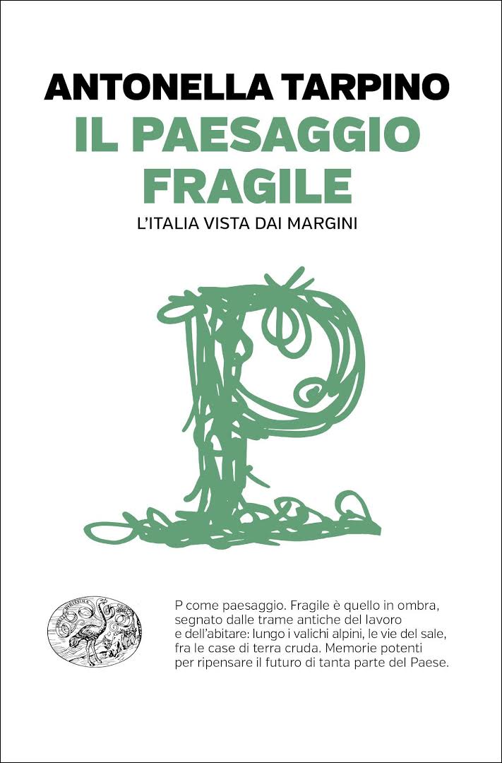 copertina libro Il paesaggio fragile