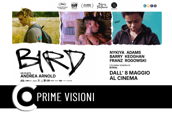 Circuito Cinema: La programmazione dal 08 al 14 maggio 2025