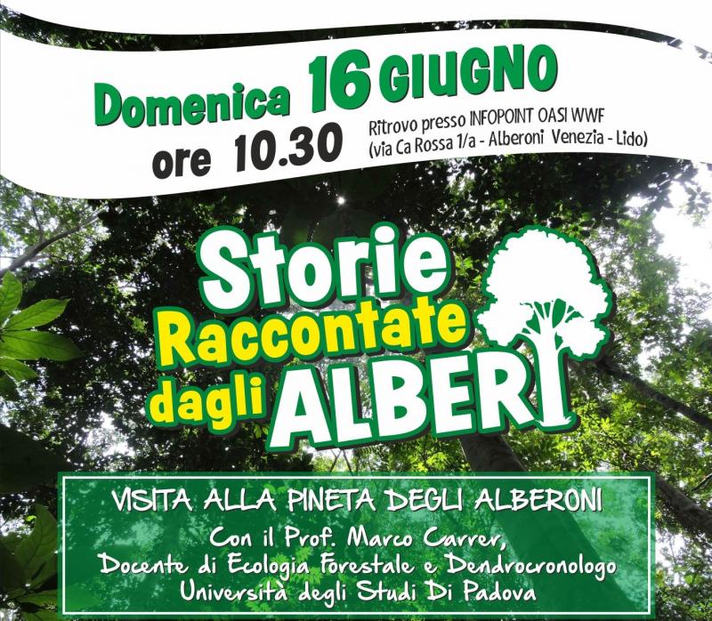 locandina visita Storie raccontate dagli alberi