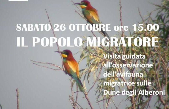 immagine evento birdwatching