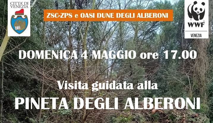 locandina visita guidata alla pineta