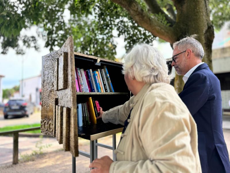 Cassetta libri