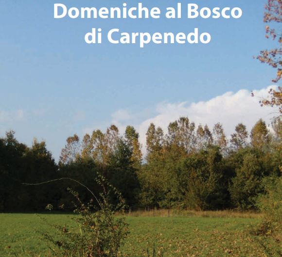 Bosco di Carpenedo
