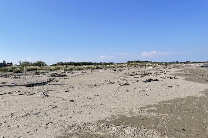 immagine della spiaggia degli Alberoni
