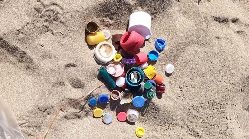 immagine rifiuti spiaggiati