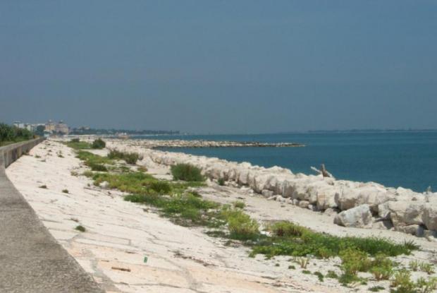 murazzi