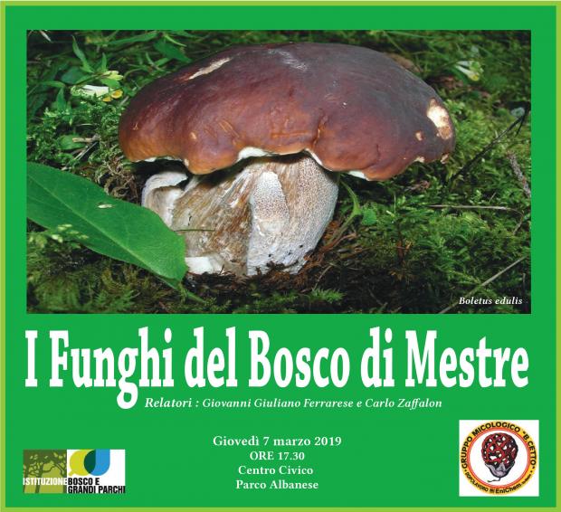 Conferenza I funghi di Mestre Immagine locandina i funghi di Mestre