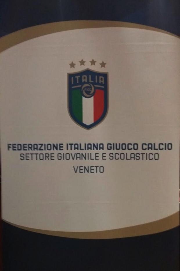 il logo della Figc