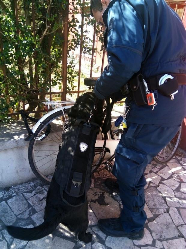 un momento dell'operazione