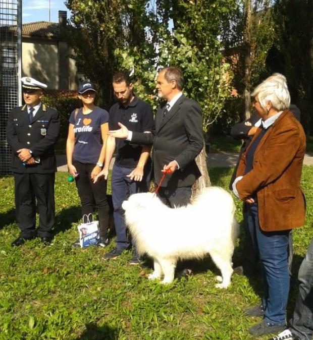 un momento della conferenza stampa