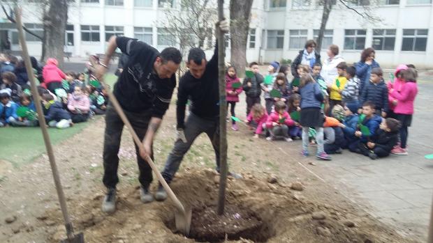 Bambini assistono alla piantumazione dell'albero