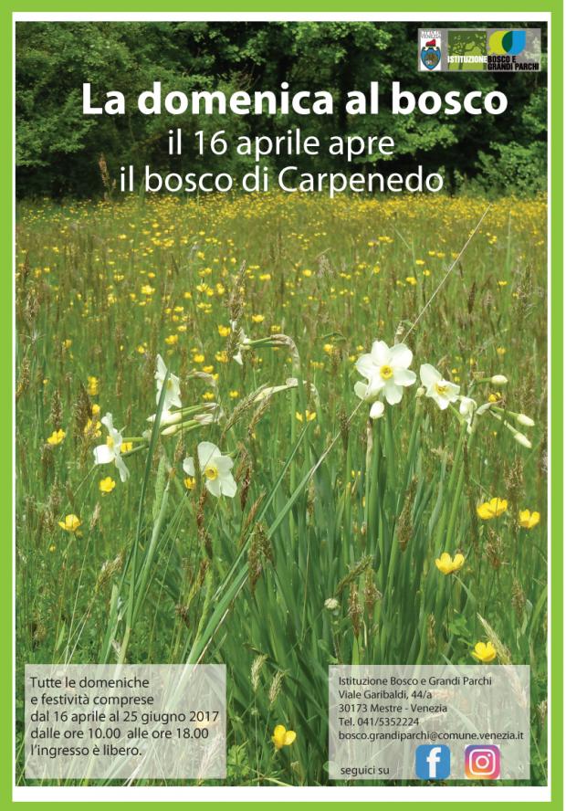 La Domenica al Bosco di Carpenedo Fioriture primaverili al Bosco di Carpenedo