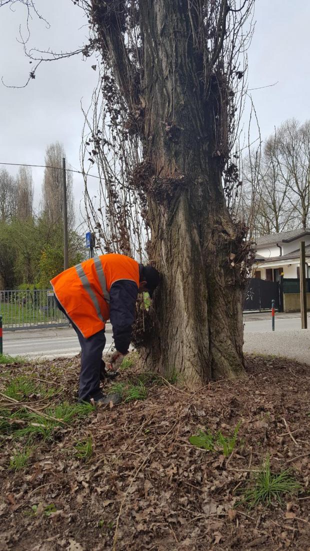 Lavoratore LPU al Parco Albanese