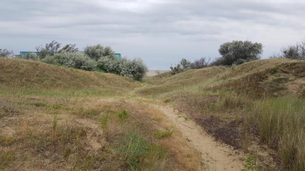 Immagine delle dune agli Alberoni Dune agli Alberoni