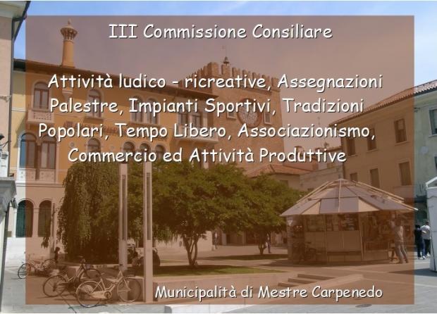 III Commissione