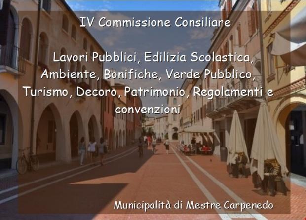 IV Commissione