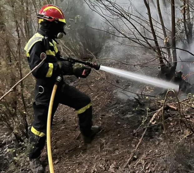 Incendi boschivu
