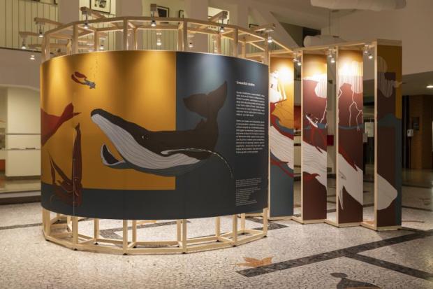 mostra mostra