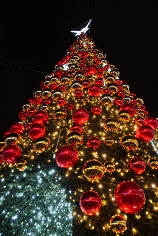 Natale Alberi Immagini.Natale In Terraferma Questo Pomeriggio L Accensione Degli Alberi E Delle Luminarie In Piazza Ferretto A Mestre E In Piazza Mercato A Marghera Comune Di Venezia Live Le Notizie Di