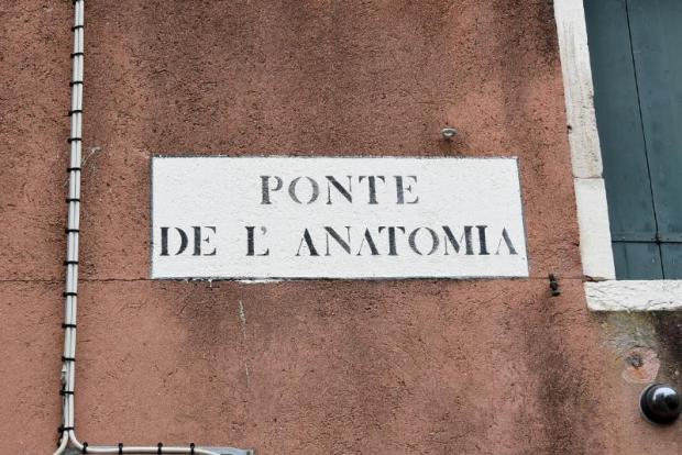 Ninzioleto "Ponte dell'Anatomia"