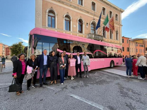 Autobus rosa