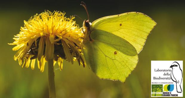 biodiversità