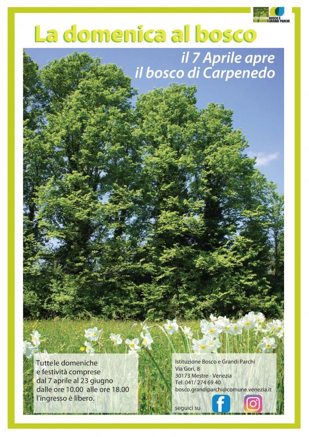 Foto locandina bosco