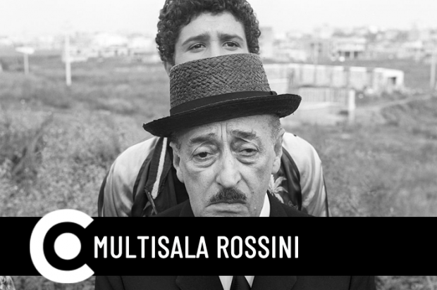 Uccellacci e uccellini