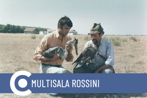 Per Classici fuori Mostra 2024 Magasiskola di István Gaál