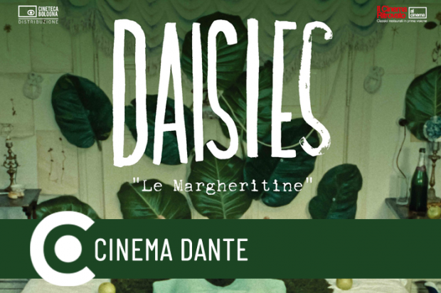 Per il Cinema Ritrovato le Margheritine (Daisies) al Dante