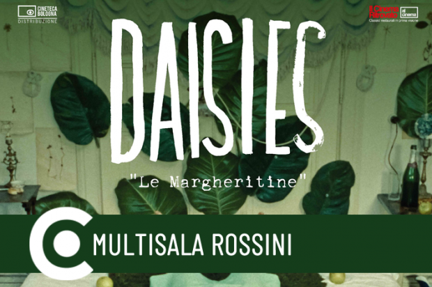 Per il Cinema Ritrovato. Al cinema Le Margheritine (Daisies)