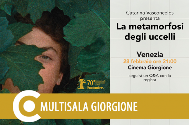 Metamorfosi uccelli