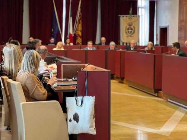 Consiglio comunale