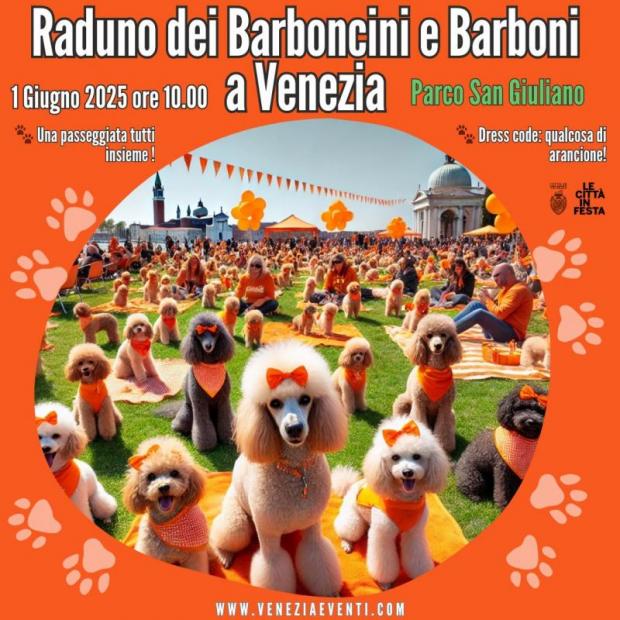Grafica: disegno di tanti cani barboncini su un prato, in un tondo iscritto un quadrato. Sopra, il titolo