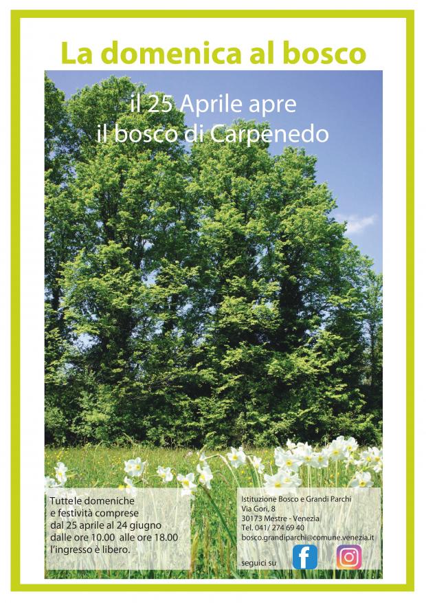 Bosco di Carpenedo - primavera Locandina bosco carpenedo - foto del bosco in primavera e informazioni apertura