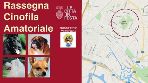 locandina della rassegna