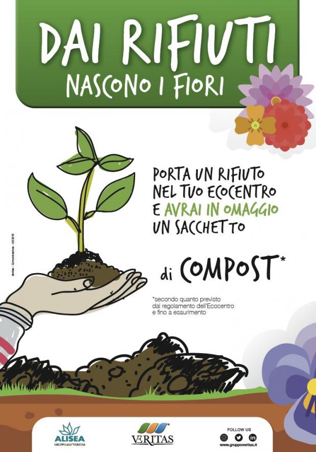 Piantina sulle mani