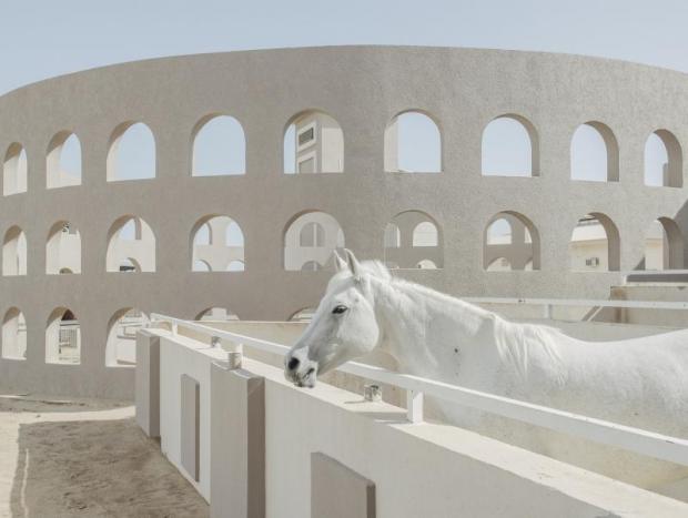 Gabriele Cecconi - @gabriele.cecconi-The White Horse Cavallo in primo piano; sullo sfondo edificio che ricorda il Colosseo, ma in chiave moderna, con linee razionali