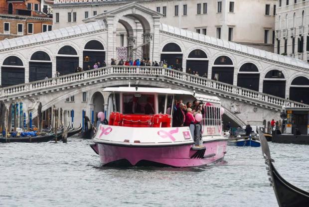 Vaporetto rosa in Canal Grande, sullo sfondo il Ponte di Rialto