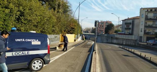 auto Polizia locale alla Cipressina