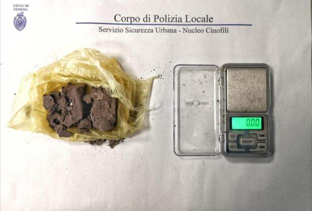 Polizia Locale