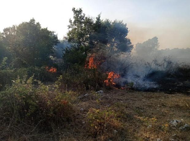 Incendio boschivo