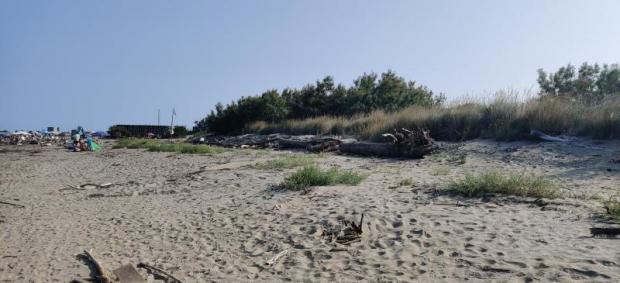 Spiaggia degli Alberoni immagine della spiaggia Alberoni