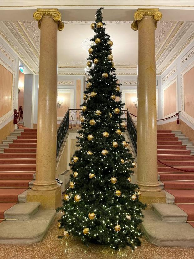 Fenice a Natale