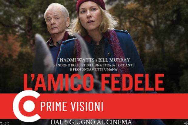 Circuito Cinema: La programmazione dal 05 all'11 giugno 2025 Circuito Cinema: La programmazione dal 05 all'11 giugno 2025