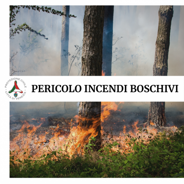 Rischio Incendi Boschivi E Di Vegetazione: Informativa Della Protezione ...