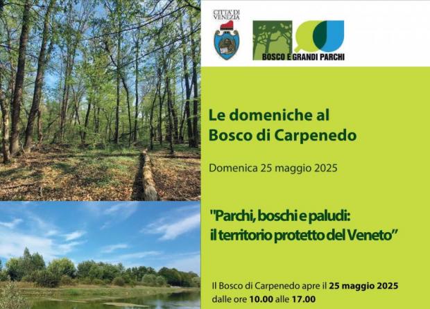 Bosco Carpenedo