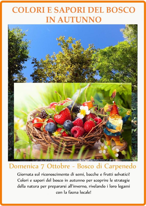 Locandina Bosco Carpenedo