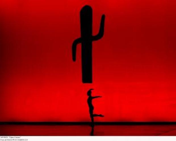 Immagine dello spettacolo "Opus cactus"